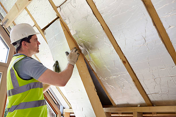 Types of Insulation We Offer in Emporia, VA