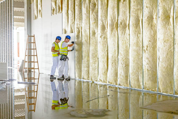 Professional Insulation Contractor in Emporia, VA